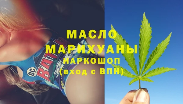 spice Богородицк