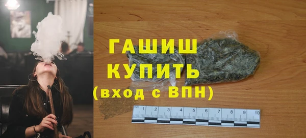 spice Богородицк