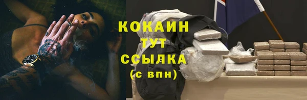 гидра Каменногорск
