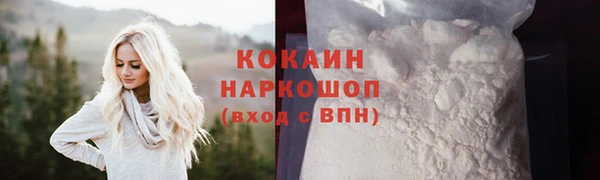spice Богородицк