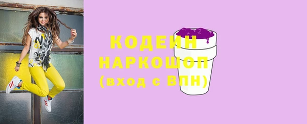 spice Богородицк