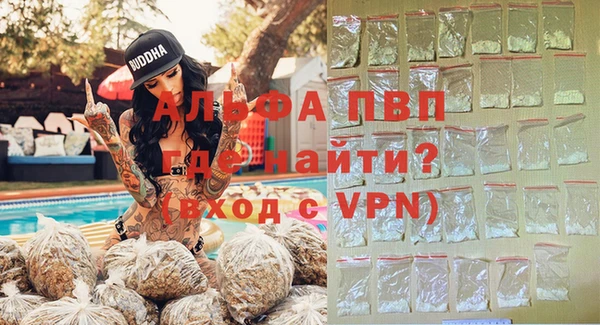 spice Богородицк