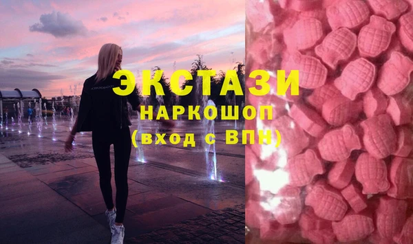 spice Богородицк