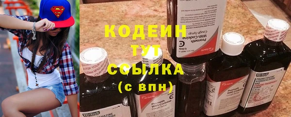spice Богородицк