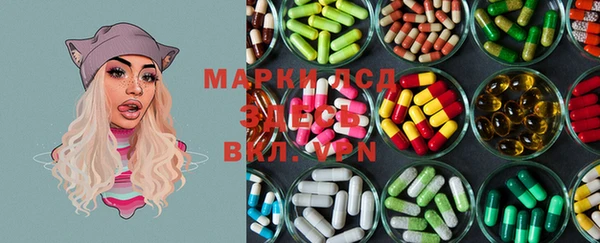 spice Богородицк