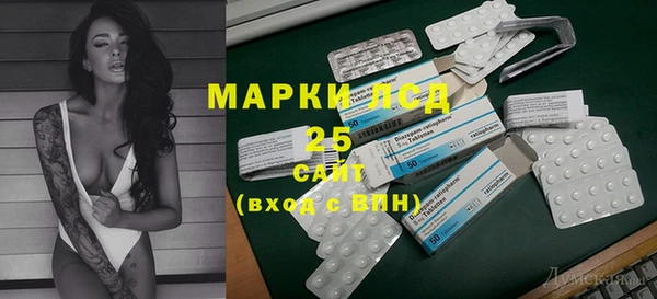 spice Богородицк