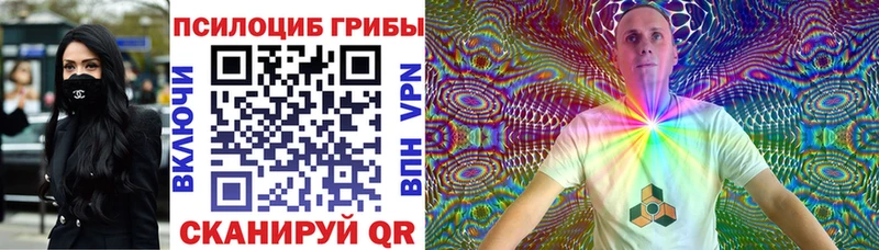 магазин продажи   Бодайбо  ОМГ ОМГ ссылка  Галлюциногенные грибы Psilocybine cubensis 
